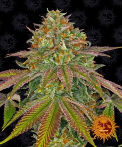 WeddingCake