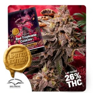 red_tropicana_cookies_fem